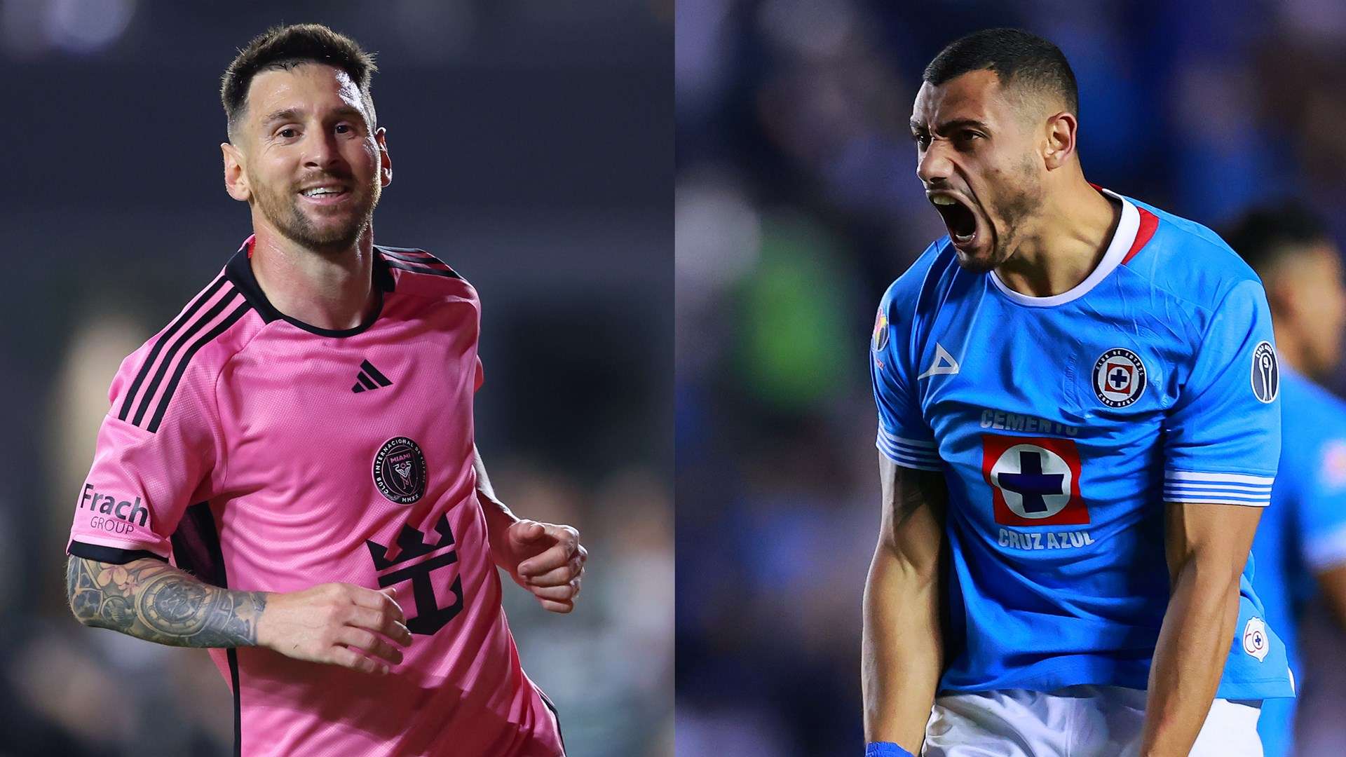 则以全面的 则以全面的